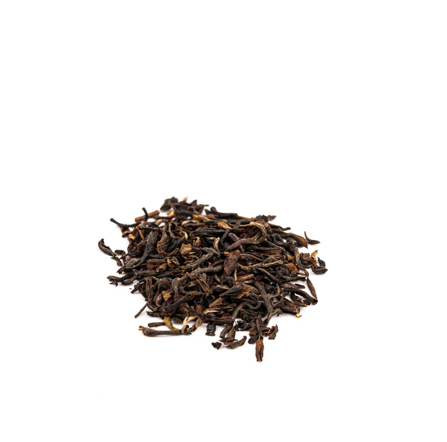 elite darjeeling luz.jpg